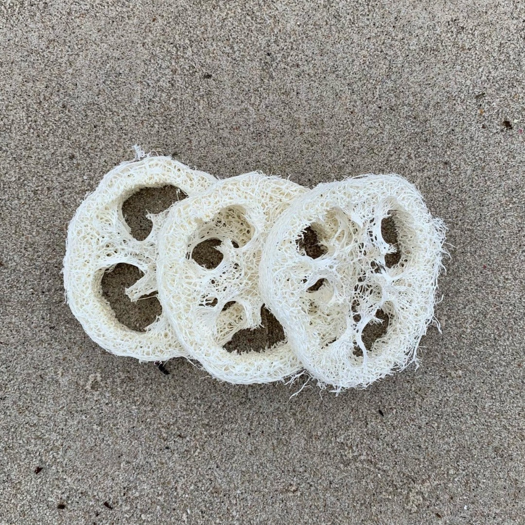 Loofah svamp