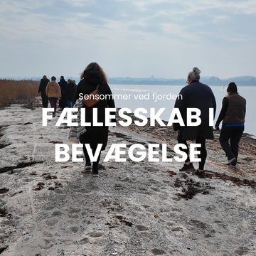 Fællesskab i bevægelse – Sensommer ved fjorden