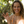 NYHED Bambus Tandbørstehoveder 4 stk. – Philips Sonicare®