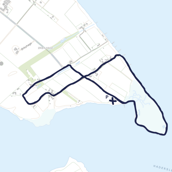 Fællesskab i bevægelse